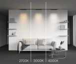 Трековый светильник магнитный 20W 24V Maytoni Points TR193-1-20W3K-M-B (LED)