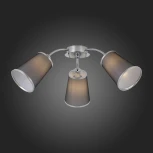 Потолочная люстра Evoluce Maleonte SLE103002-03 (220V)