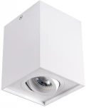 Точечный светильник Kanlux GORD 25470 (220V)