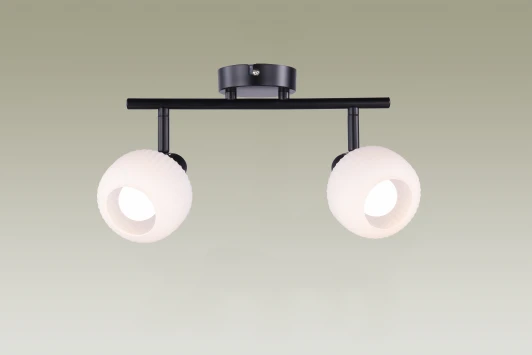 V3031-2C Спот Moderli Katrin V3031-2C