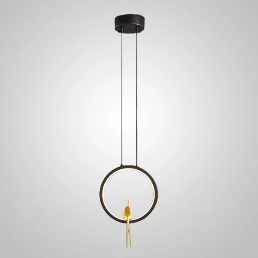 Remus-One01 Подвесной светильник Remus One Black By ImperiumLoft Remus-One01 (LED, 220V, на проводе, кольцо, птички)