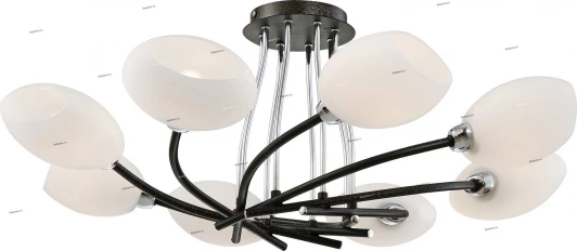 23-021-08CL Snowlight 2300021 23-021-08CL