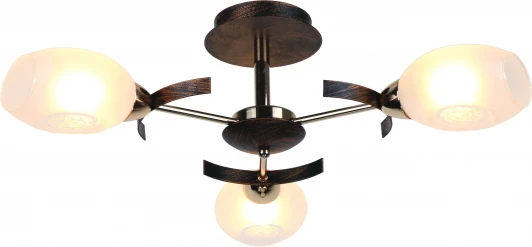 A6094PL-3BA Потолочная люстра Arte Lamp Camilla A6094PL-3BA