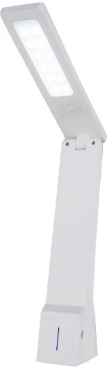 TL90450 Офисная настольная лампа Elektrostandard TL90450