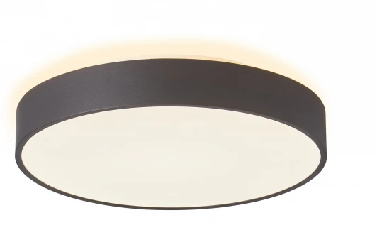 348199 Потолочный светильник круглый Deko-Light Menkar 348199 (LED, 220V, круглые)