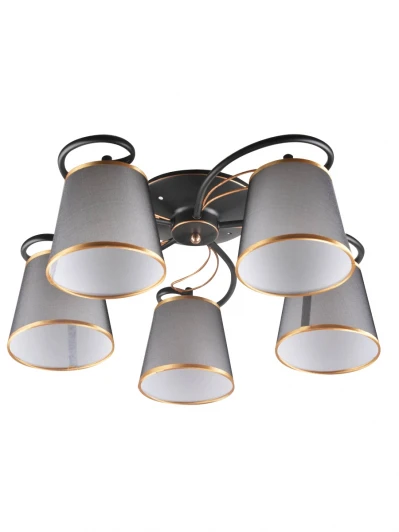 H055-5 Потолочная люстра Hiper Nataly H055-5