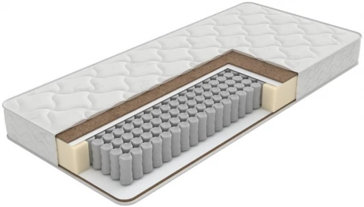 2029408 PROxSON Матрас Firm EVS Roll (Ткань Трикотаж Эко) 120x200