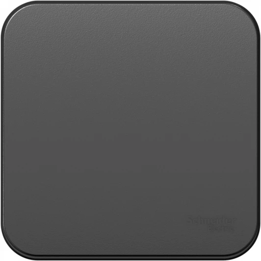 BLNVA106016 Выключатель накладной одноклавишный (антрацит) Systeme Electric Blanca BLNVA106016