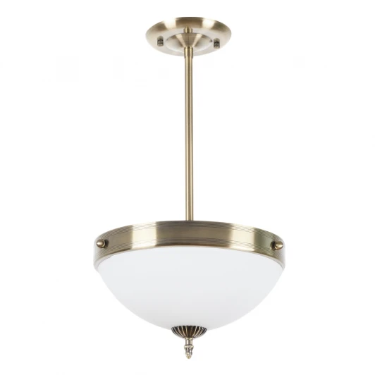 MR1525-3C Потолочная люстра на штанге MyFar Biene MR1525-3C (220V)