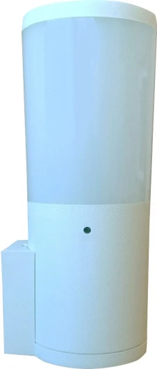 DR2.570.000.WYF1R Настенный светильник уличный Fumagalli Amelia DR2.570.000.WYF1R (220V, IP55)
