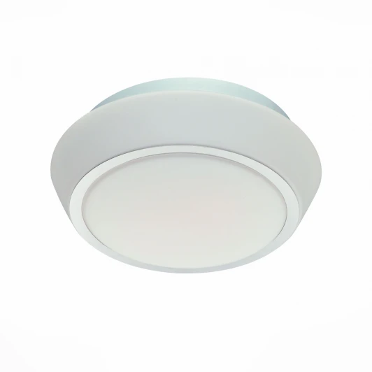 SL496.502.01 Настенно-потолочный светильник ST Luce Bagno SL496.502.01