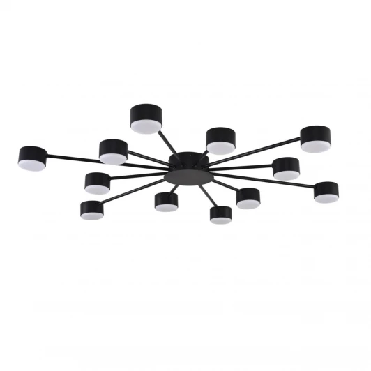 8344/12C Потолочная люстра Lumion Torina 8344/12C черный, металл GX53 LED 12*7W 220V
