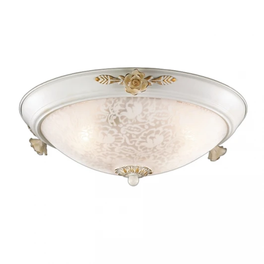 2692/3C Настенно-потолочный светильник Odeon Light Bone 2692/3C