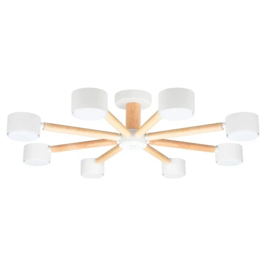 A1624PL-8WH Потолочная люстра на штанге Arte Lamp Tenda A1624PL-8WH