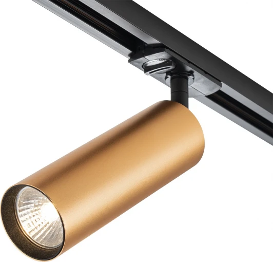 20001TRA/02 BR Трековый светильник однофазный Escada 20001 20001TRA/02 BR 1x50Вт GU10, металл, латунь матовая (220V, круглые)