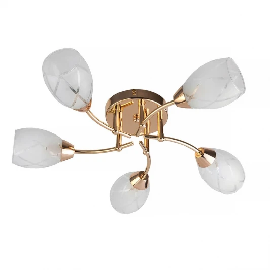 TL7120X-05FG Потолочная люстра Toplight Lucy TL7120X-05FG