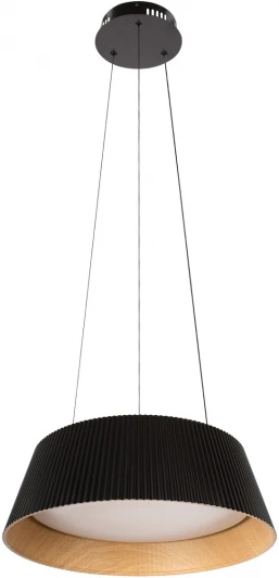 10224P Black Подвесной светильник Loft It Evans 10224P Black (LED, 220V, на тросе, круглые)