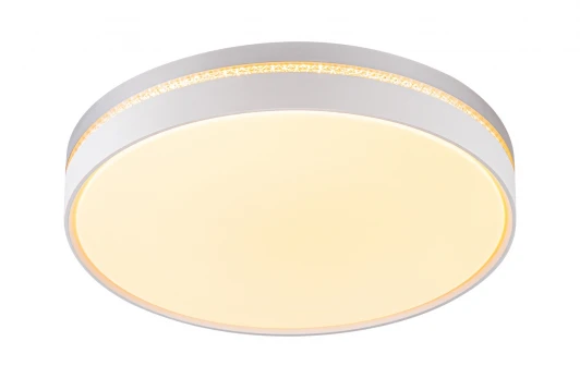 10224/S LED Потолочный светильник Escada 10224/S LED