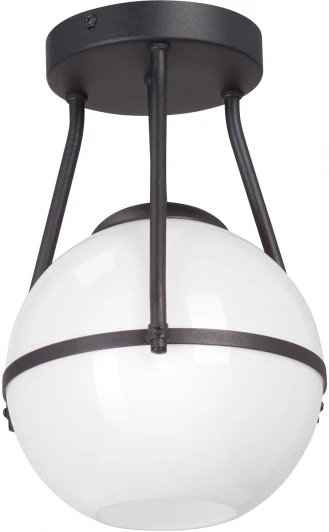 V3765-1/1PL Потолочный светильник круглый Vitaluce V3765-1/1PL