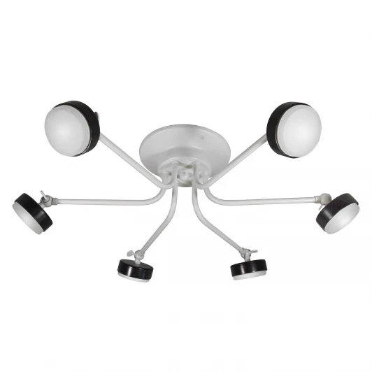 S9171-6 Потолочная люстра Day&Night S9171-6