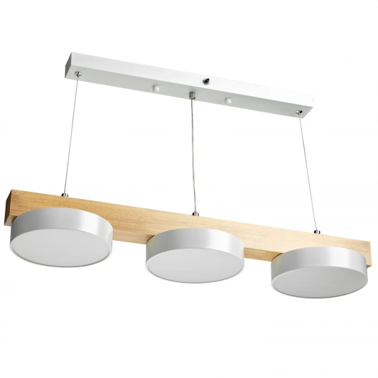 51607 5 Подвесной светильник светодиодный Ritter Racemo 51607 5