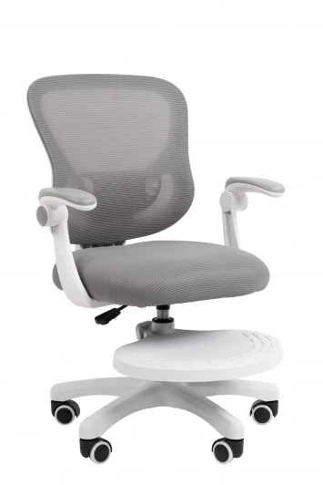 CHAIRMAN CH106 с подножкой Кресло детское компьютерное CHAIRMAN CH106 серый, с подножкой 7187532