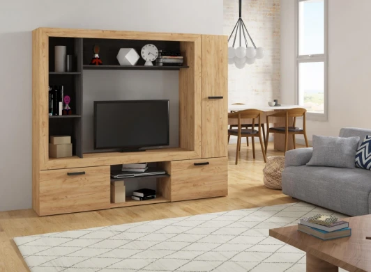 490791 Готовая гостиная Огюст 3 (Огюст 3 дуб золотой / венге) Woodville арт.490791