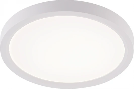 LED LAMPS 81113/1C Потолочный светильник светодиодный 10W, белый Natali Kovaltseva Plain LED LAMPS 81113/1C