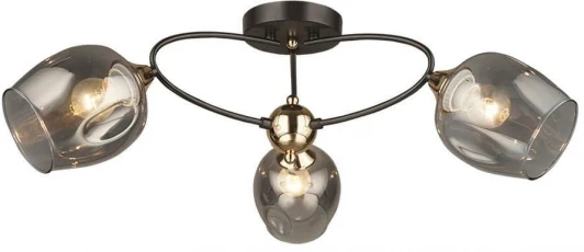 66660.01.15.03 Потолочная люстра Wedo Light Lenyano 66660.01.15.03