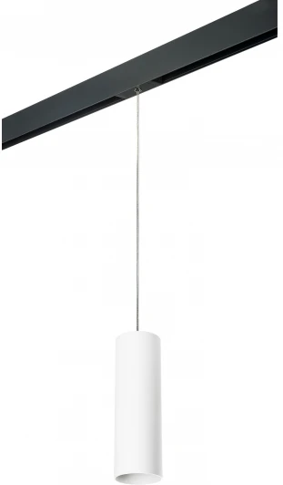 PRORP6496 Трековый светильник однофазный 220V Lightstar Rullo PRORP6496 (круглые)