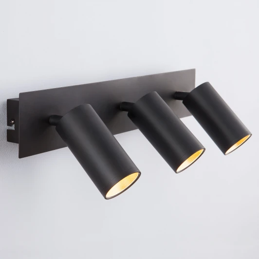 20066/3 LED черный / золото Спот Eurosvet Fleur 20066/3 LED черный/золото