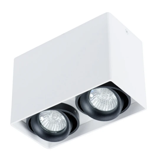 A5655PL-2WH Накладной точечный светильник Arte Lamp Pictor A5655PL-2WH (220V)