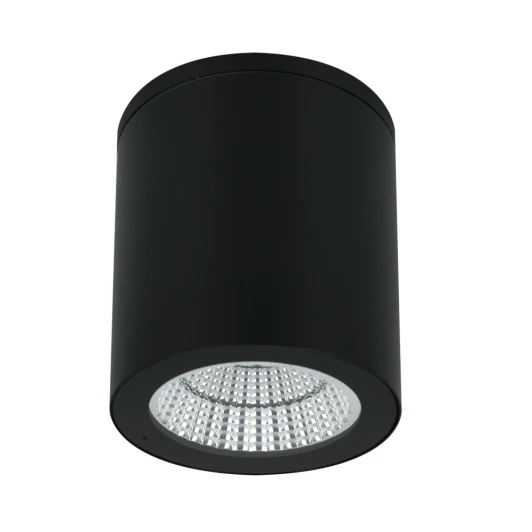 A1813PF-1BK Уличные потолочные светильники Arte Lamp Torcular A1813PF-1BK (LED, 220V, круглые, IP65)
