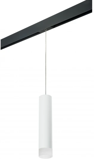 PRORP49631 Трековый светильник однофазный 220V Lightstar Rullo PRORP49631 (круглые)