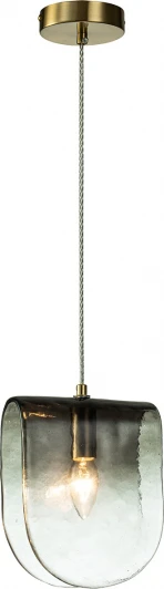 V000467 Подвесной светильник (11035/1P Black) Indigo Manto V000467 (220V, на проводе)