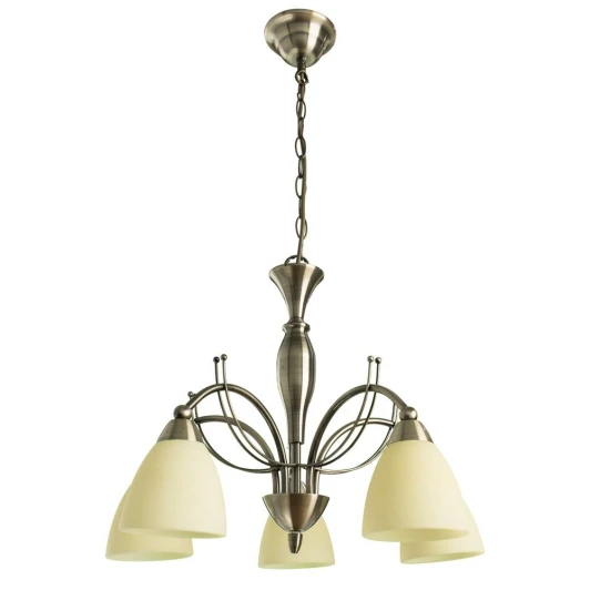 A8612LM-5AB Подвесная люстра Arte Lamp Panna A8612LM-5AB