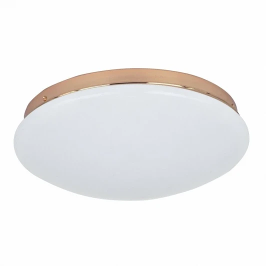 2465-2C Потолочный светильник F-Promo Ledante 2465-2C