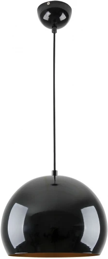 LSP-8919 Подвесной светильник Lussole Gloss LSP-8919