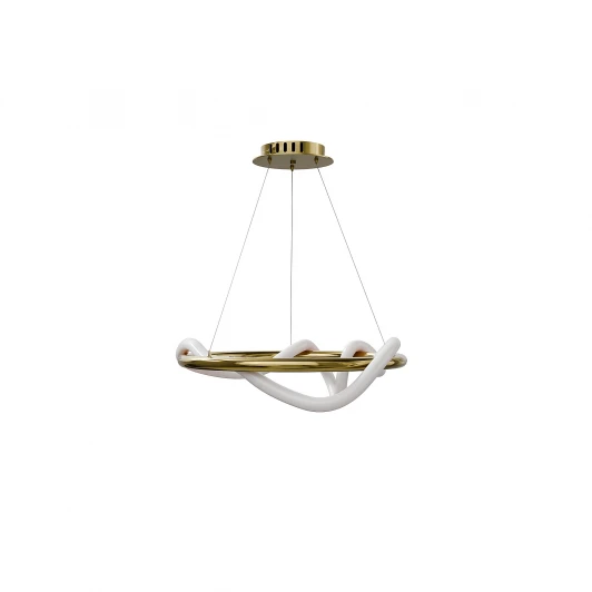 LE217L-40G Подвесной светильник кольцо с гибким неоном Lightera Nyasa LE217L-40G