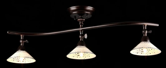 ECO002-03-R Спот Maytoni Spot 2 ECO002-03-R