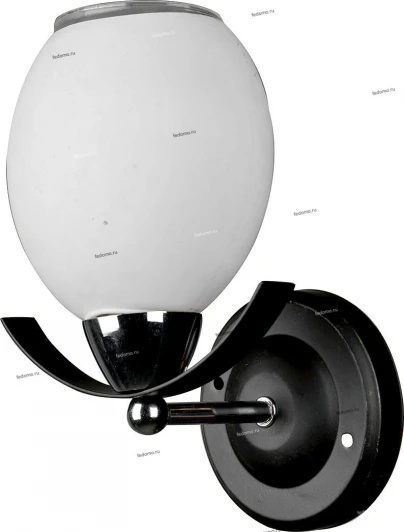 067/1A Myone 067 067/1A