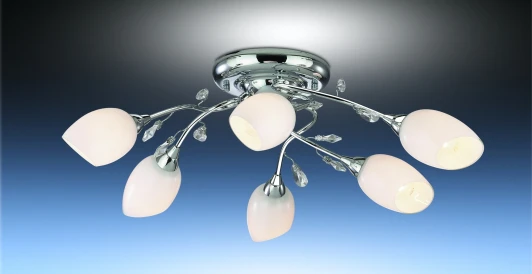 1603/6 Потолочная люстра Odeon Light Fiera 1603/6