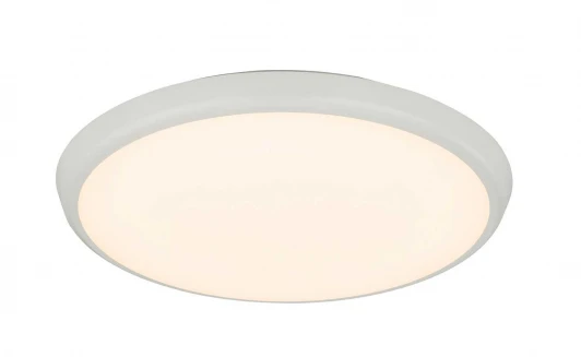 32109S Потолочный светильник уличный Globo Aemon 32109S