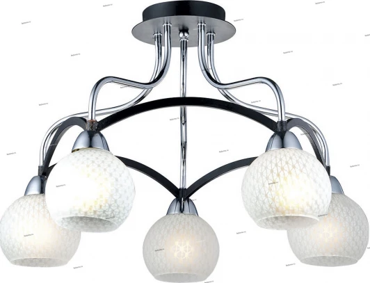 028/5PL Myone 028 028/5PL