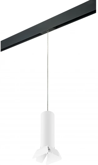 PRORP496436 Трековый светильник однофазный 220V Lightstar Rullo PRORP496436