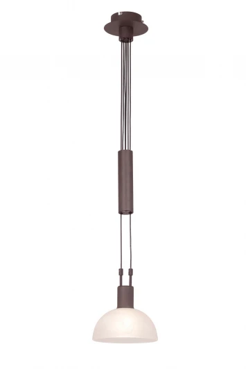 77379/20 Подвесной светильник Brilliant Amira 77379/20