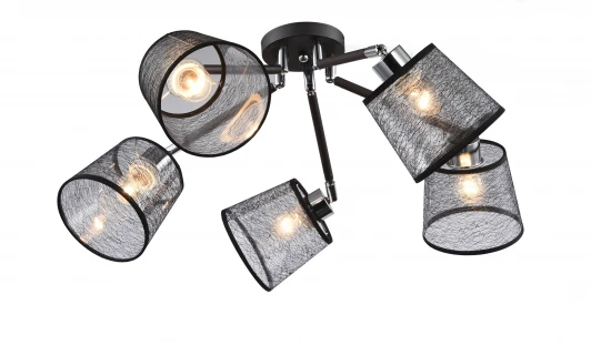 1090/5C Потолочная люстра J-Light Rene 1090/5C