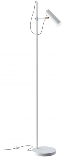 MOD129FL-01W Торшер Maytoni Bansky MOD129FL-01W (220V, выключатель)
