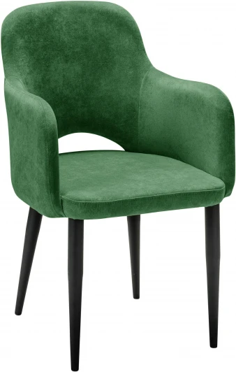 410124164h_Green grass_черный Кресло Ledger green grass/черный R-Home арт.410124164h_Green grass_черный