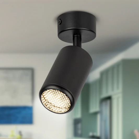 OL55 BK Спот ЭРА OL55 BK OL55 BK